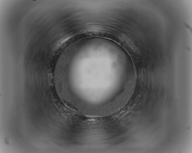 X0000097810822200803141117