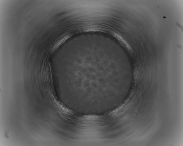 X0000097810825200803141117