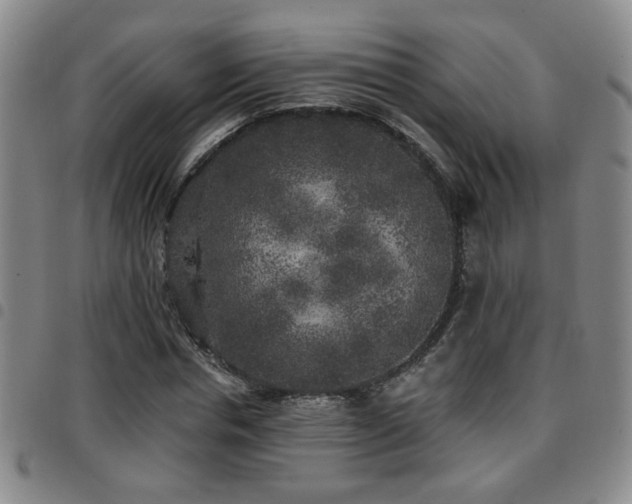 X0000097810826200803141117
