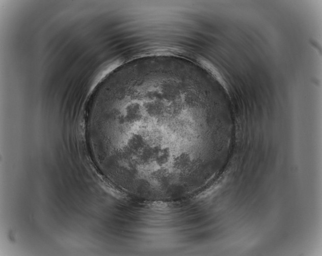 X0000097810827200803141117
