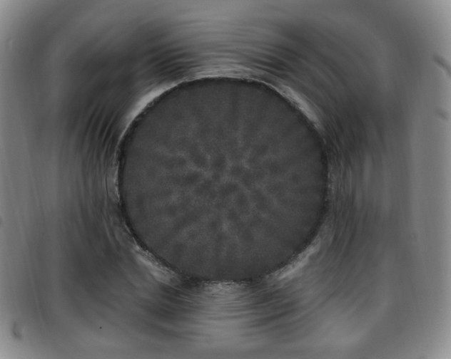 X0000097810830200803141117