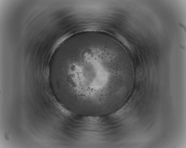X0000097810831200803141117