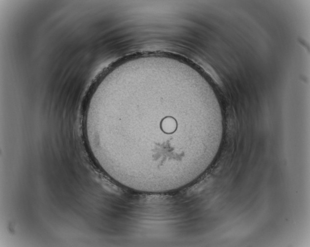 X0000097810832200803141117