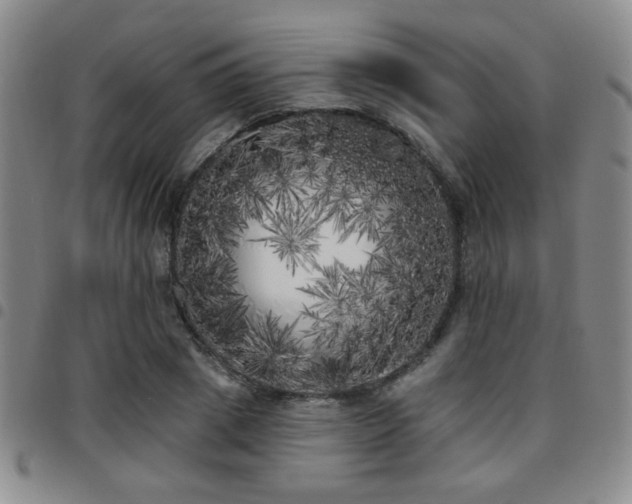X0000097810833200803141117