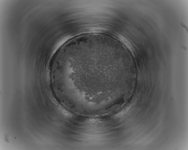X0000097810835200803141117