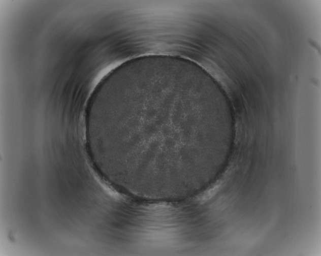 X0000097810838200803141117