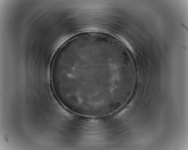 X0000097810839200803141117
