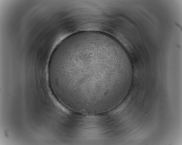 X0000097810840200803141117