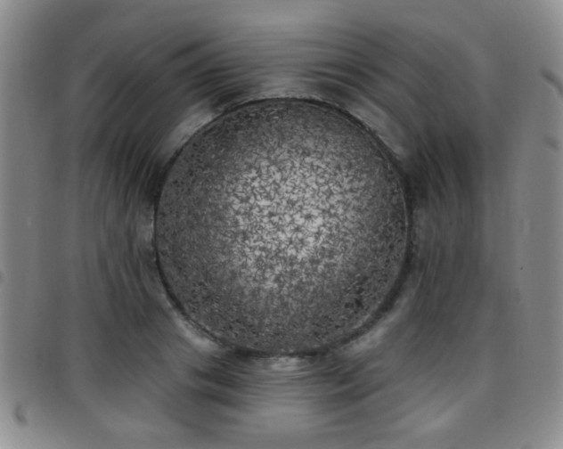 X0000097810841200803141117