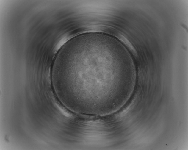 X0000097810842200803141117