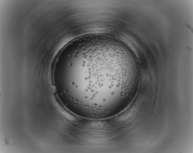 X0000097810843200803141117