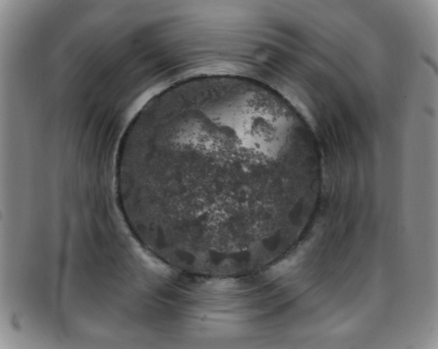 X0000097810845200803141117
