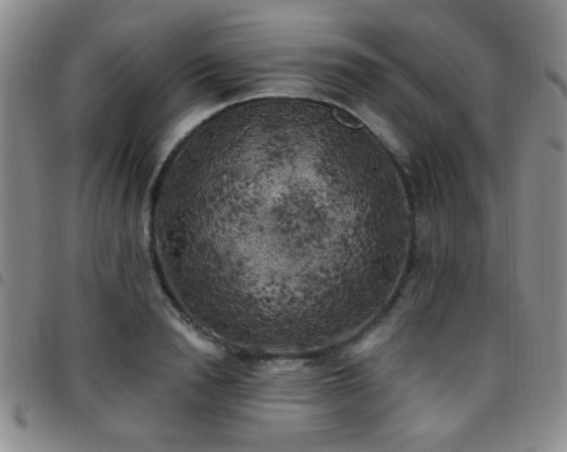 X0000097810846200803141117