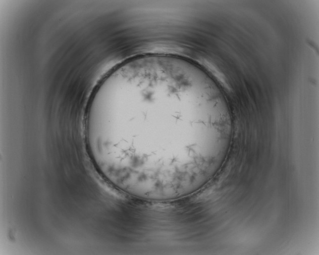 X0000097810848200803141117