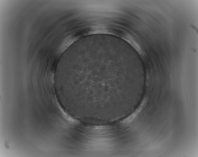 X0000097810849200803141117