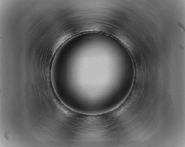 X0000097810850200803141117