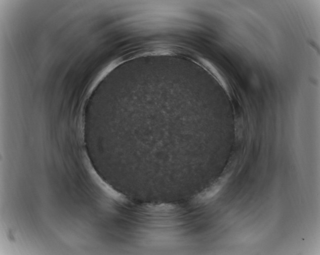 X0000097810851200803141117