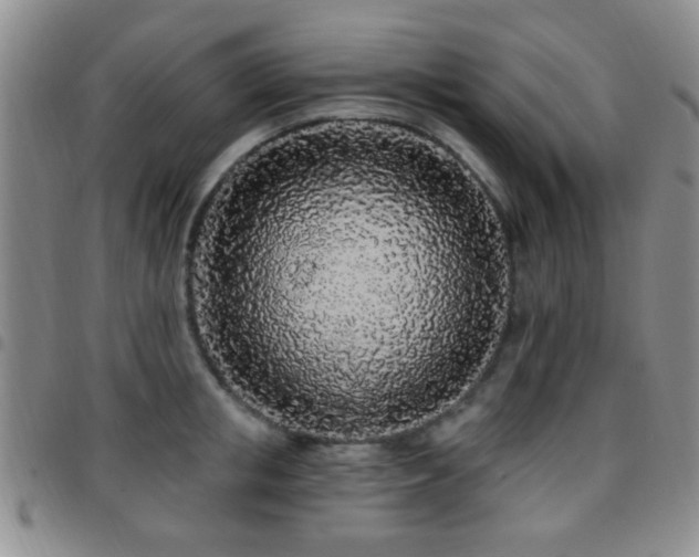 X0000097810853200803141117