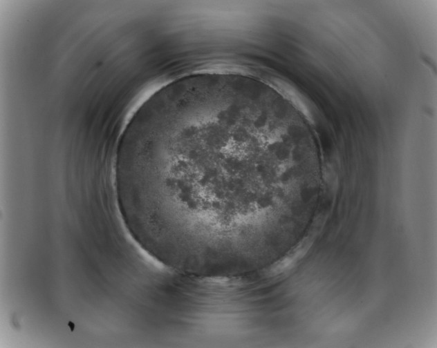 X0000097810855200803141117