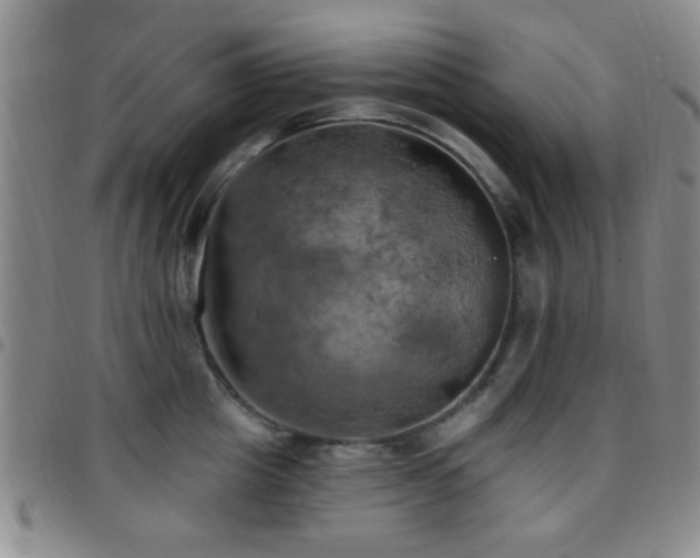 X0000097810857200803141117