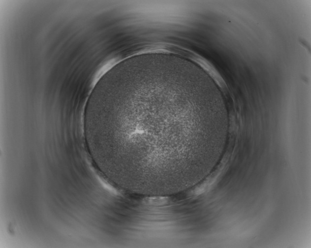X0000097810858200803141117