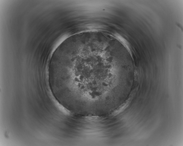 X0000097810859200803141117