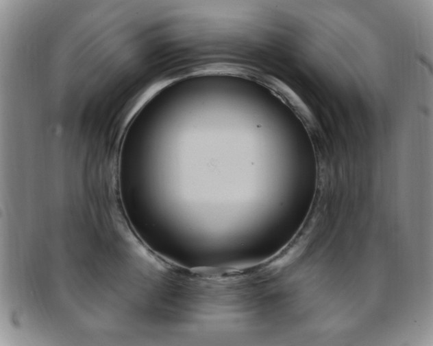 X0000097810860200803141117