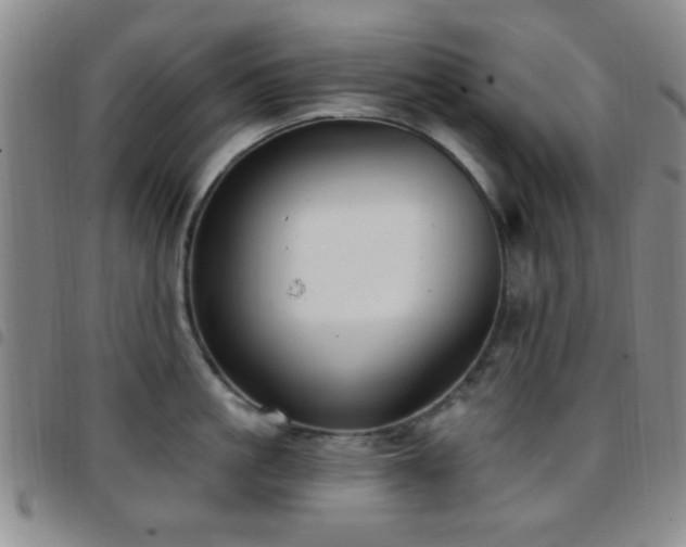 X0000097810861200803141117