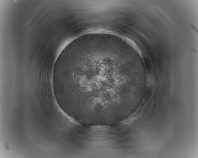 X0000097810863200803141117