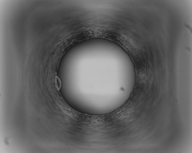 X0000097810865200803141117