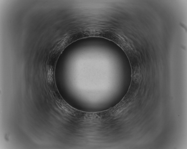 X0000097810866200803141117