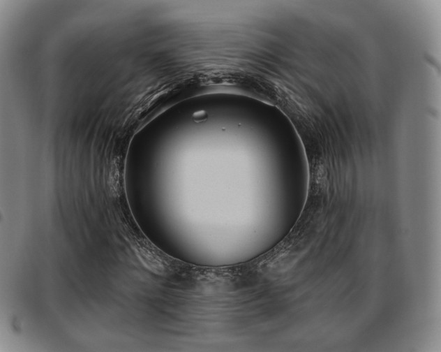X0000097810868200803141116