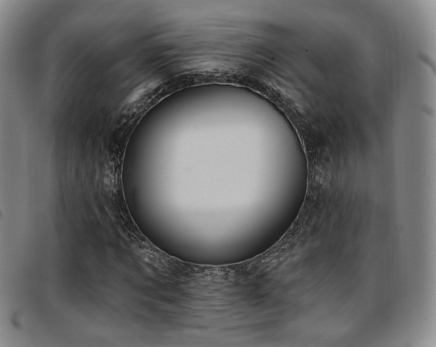 X0000097810869200803141116