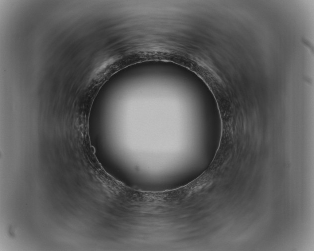 X0000097810870200803141116