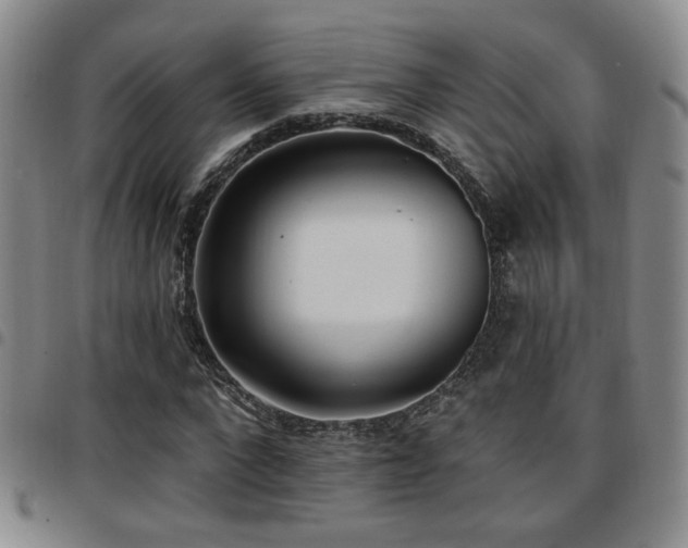 X0000097810872200803141116