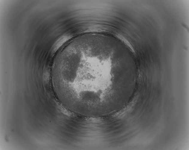 X0000097810874200803141116