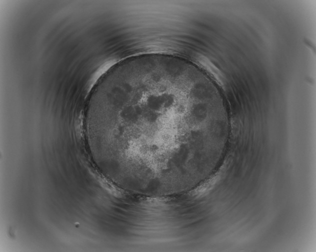 X0000097810875200803141116