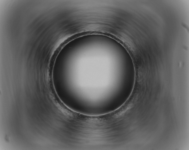 X0000097810880200803141116