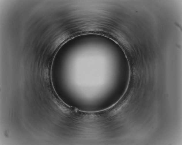 X0000097810881200803141116
