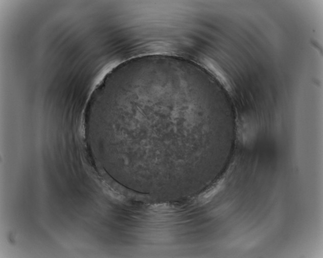 X0000097810883200803141116