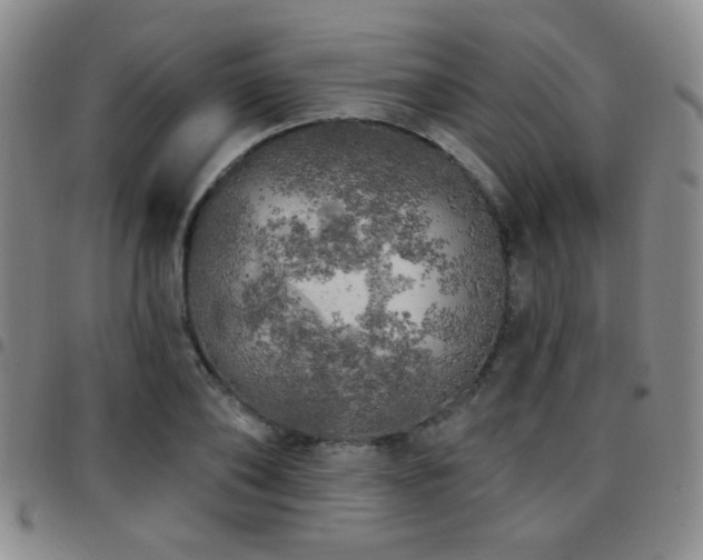 X0000097810886200803141116