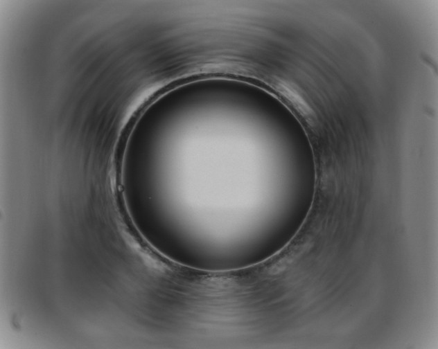 X0000097810888200803141116
