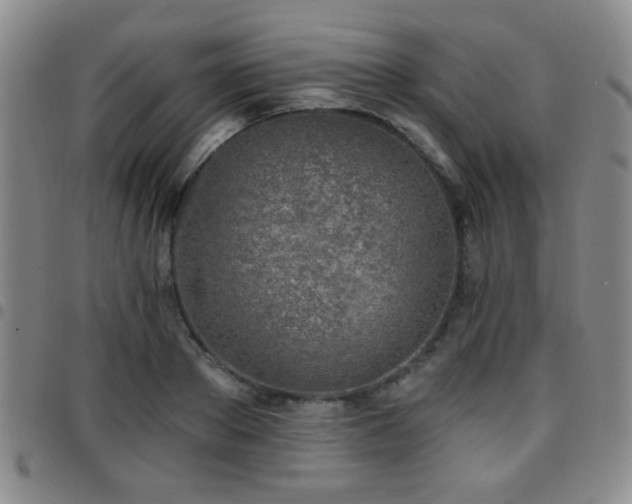 X0000097810889200803141116