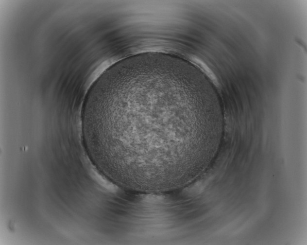 X0000097810890200803141116