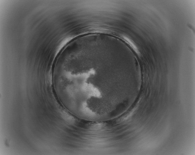 X0000097810891200803141116