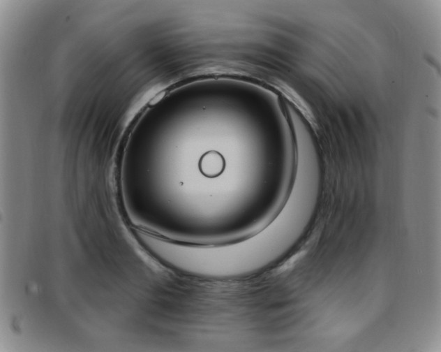X0000097810893200803141116