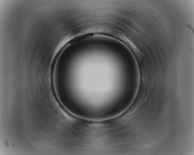 X0000097810894200803141116