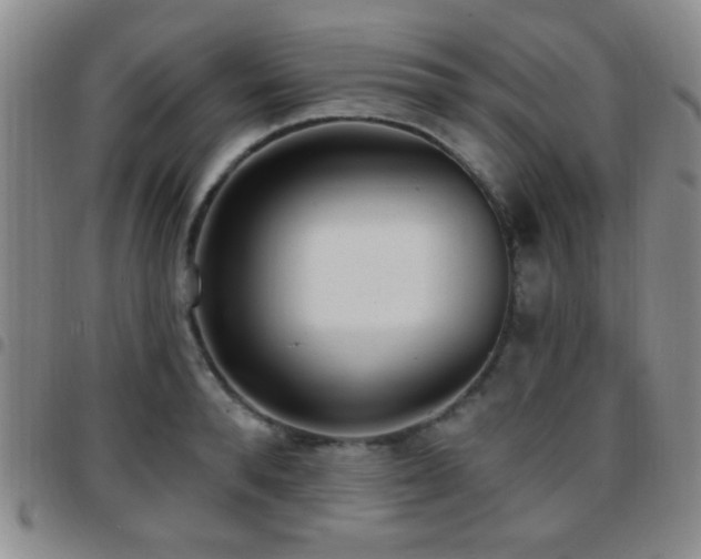X0000097810896200803141116
