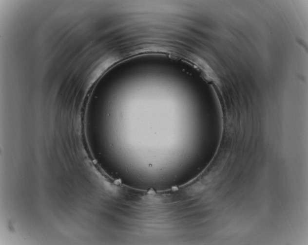X0000097810898200803141116