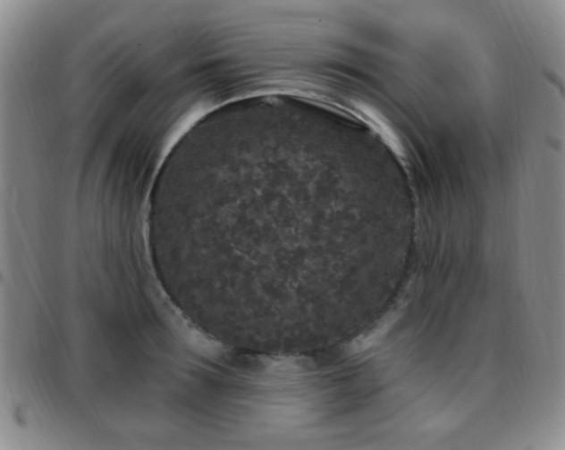 X0000097810899200803141116
